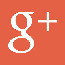 google+ google+
